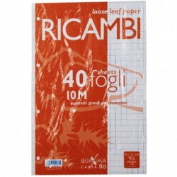 RICAMBI PIGNA A4 10MM 80GR40F. - 0062903