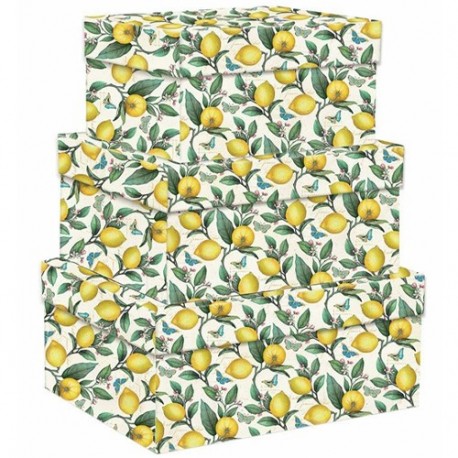 SET 3 SCATOLE LEMON TREE - 12149000