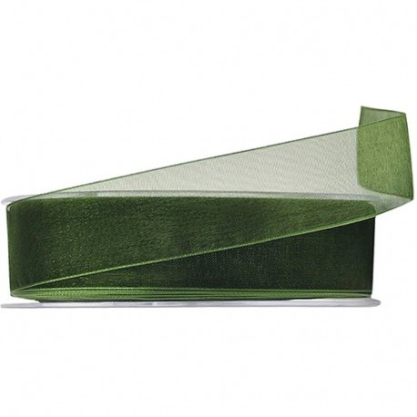 NASTRO ORGANZA BEAUTY 25MMX50MT VERDE