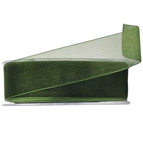 NASTRO ORGANZA BEAUTY 40MMX50MT VERDE