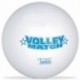 PALLONE D.216 VOLLEY MATCH PVC   - 04302