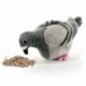 PELUCHE CLAUDE LE PIGEON 23CM - 15826