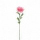 PEONIA SINGOLA CON FOGLIE 72CM - 14258