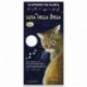 SHOPPING LIST 2022 - GATTO E LUNA NEW  -