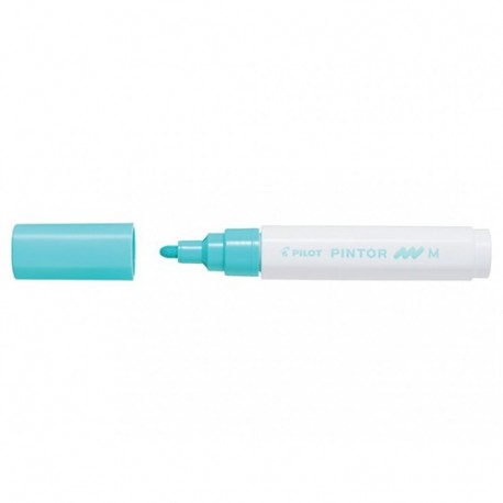 MARKER PINTOR M VER. PAST. PILOT -002371