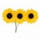 PICK W/12 PAPER DAISY FLOWERS CMØ3,5  -