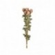 ROSE MAZZO 87CM X8  - DS 44534 08