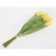 MAZZO CON TULIPANI X7, 25CM GIALLO  - DS