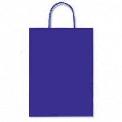 BORSA IN CARTA 22X10X27CM BLUETTE -