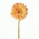 GERBERA ARANCIO - 48857