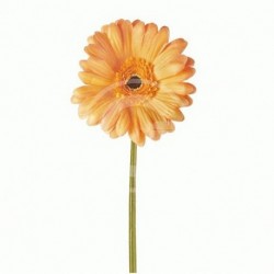 GERBERA ARANCIO - 48857