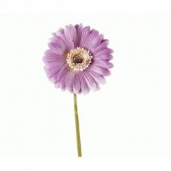 GERBERA LILLA - 48859