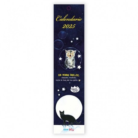 CAL PICCOLO GATTO E LUNA  2025  -